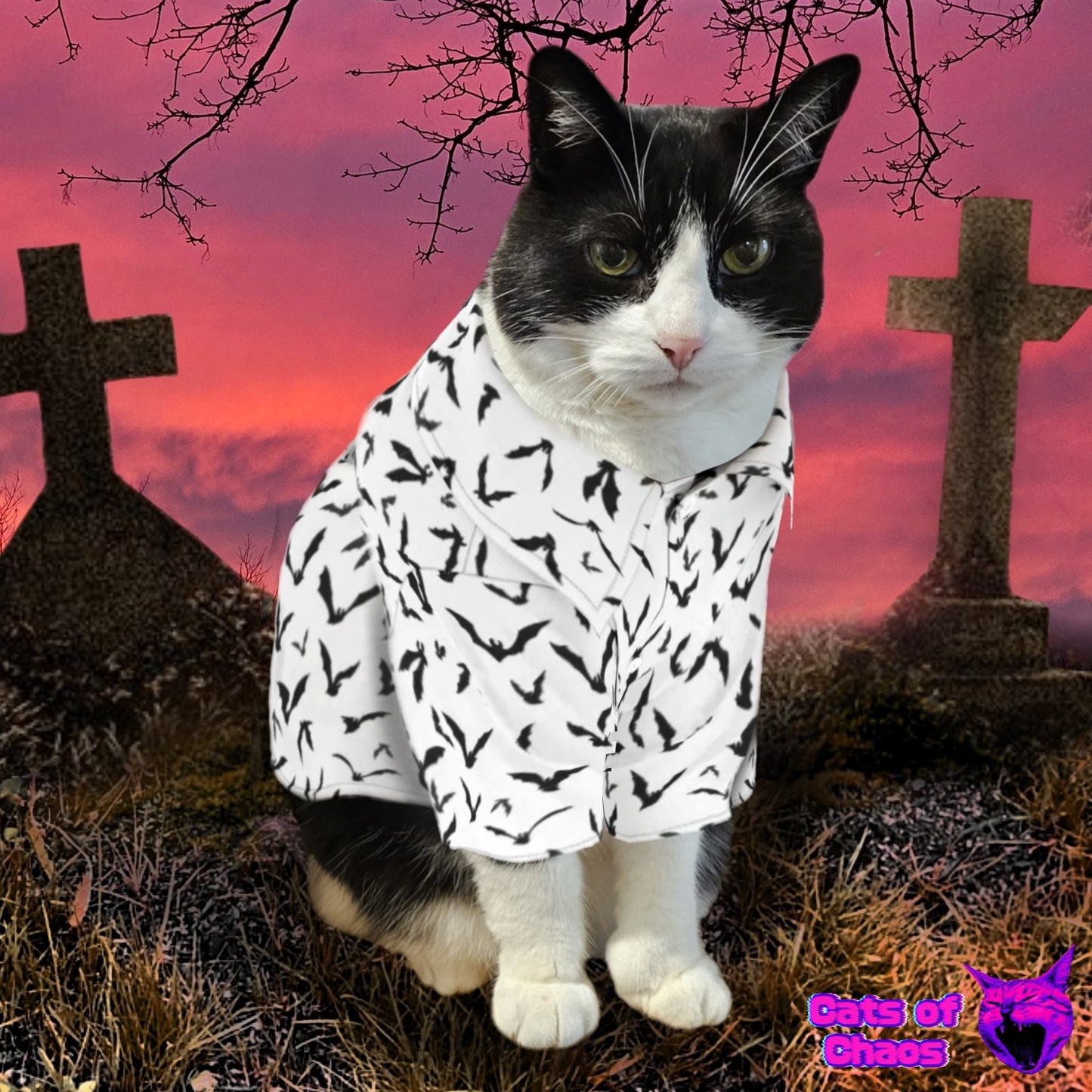 All - Over Print Bats Pet‘s Hawaiian Shirt - Cats of Chaos