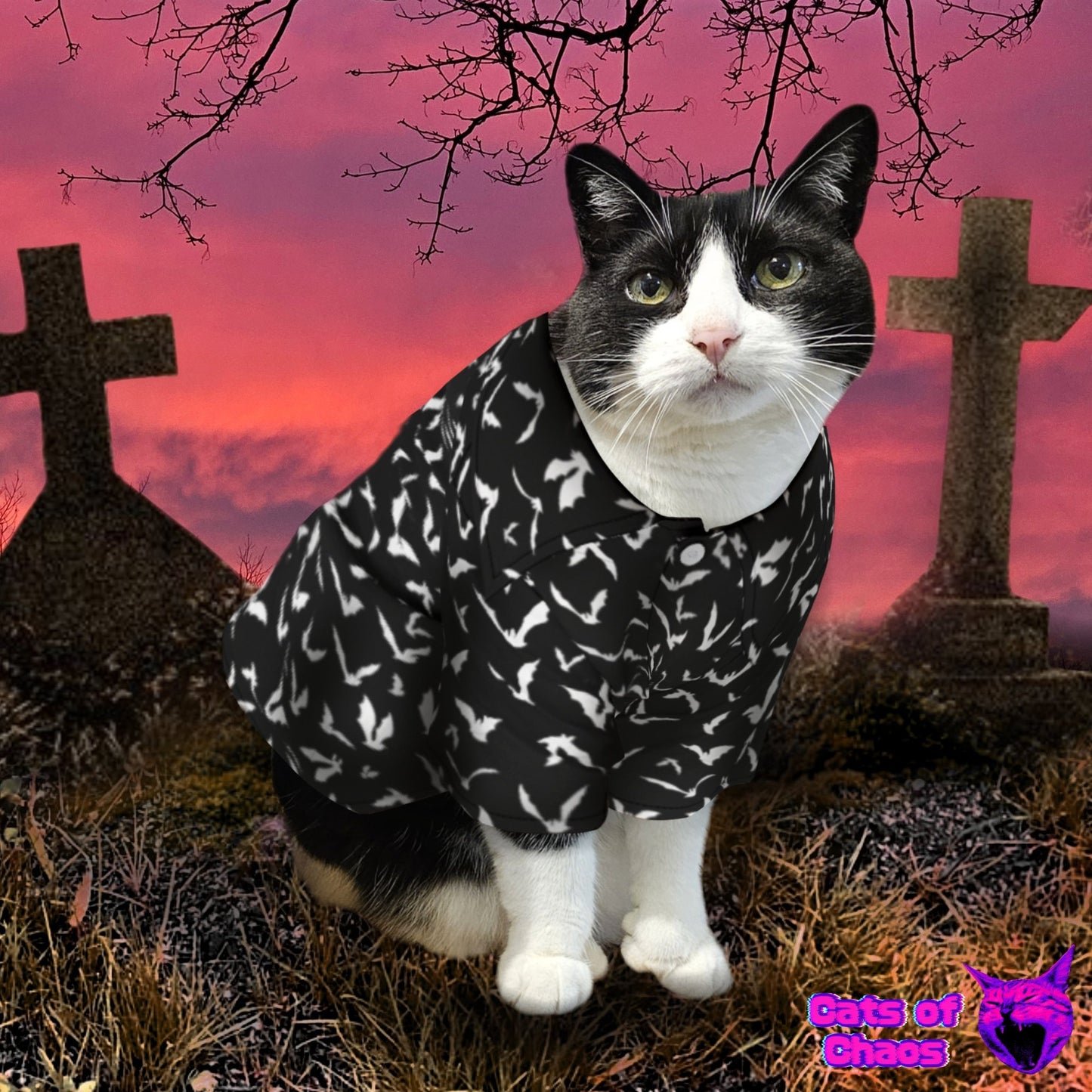 All - Over Print Bats Pet‘s Hawaiian Shirt - Cats of Chaos