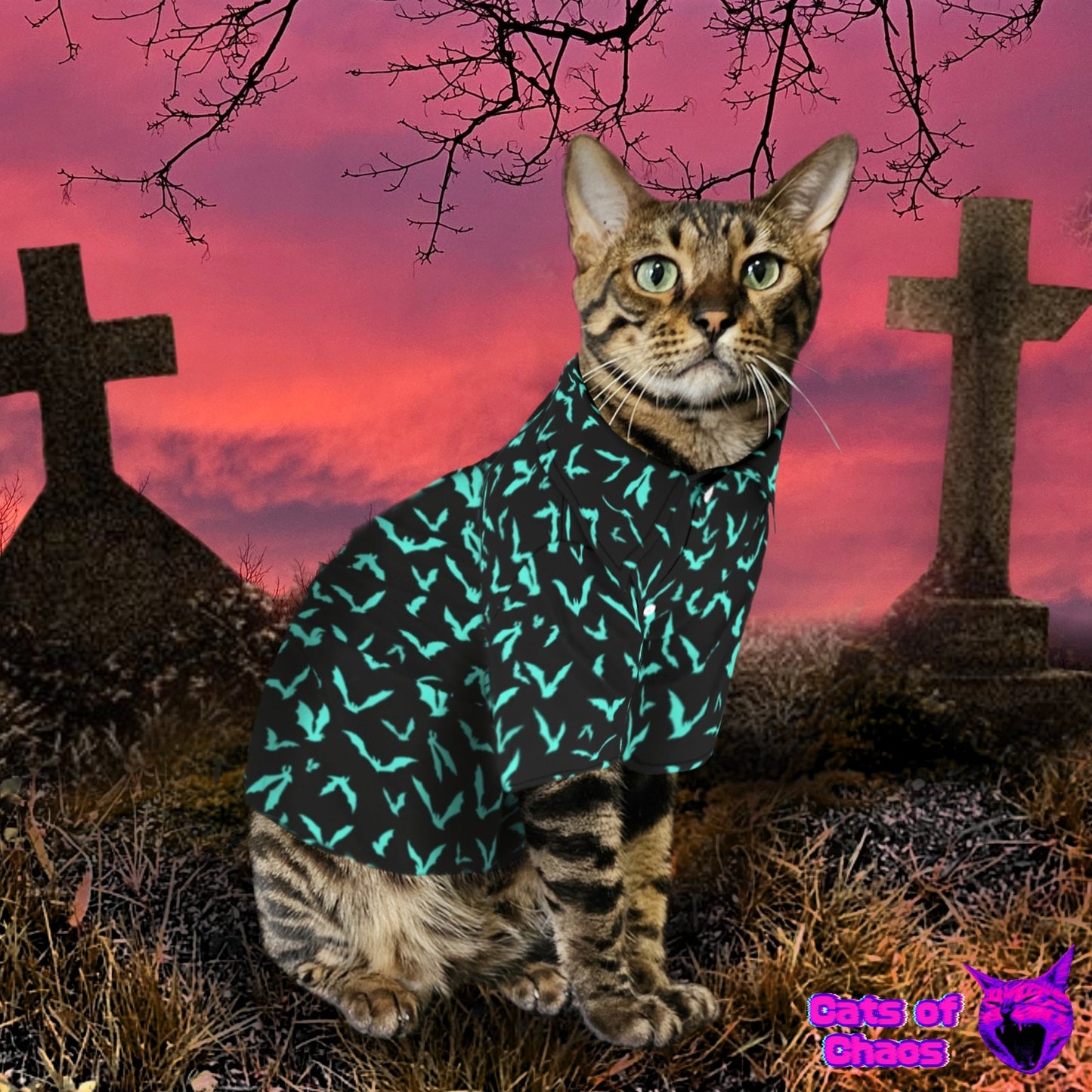 All - Over Print Bats Pet‘s Hawaiian Shirt - Cats of Chaos