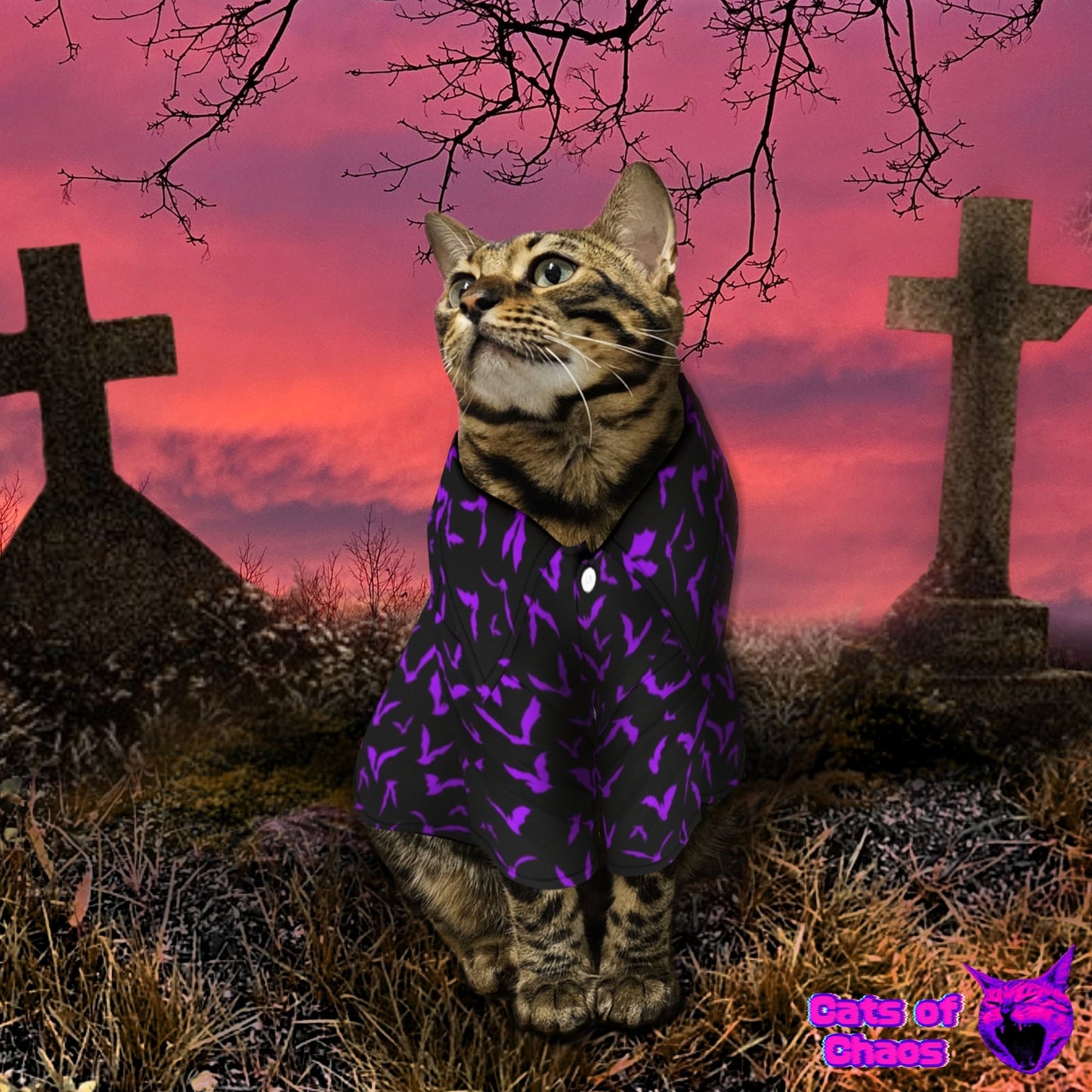 All - Over Print Bats Pet‘s Hawaiian Shirt - Cats of Chaos