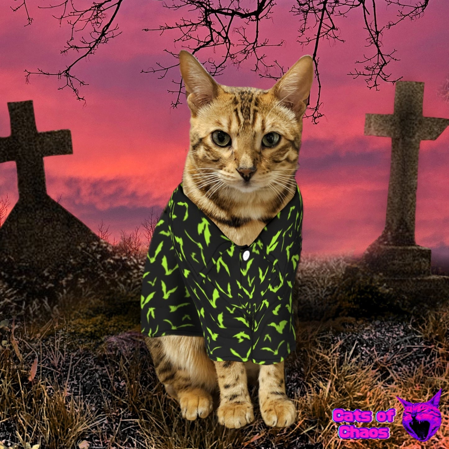 All - Over Print Bats Pet‘s Hawaiian Shirt - Cats of Chaos