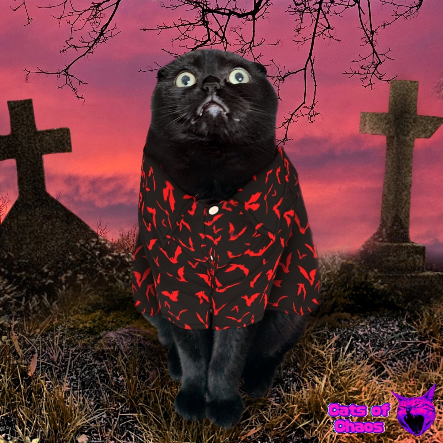 All - Over Print Bats Pet‘s Hawaiian Shirt - Cats of Chaos