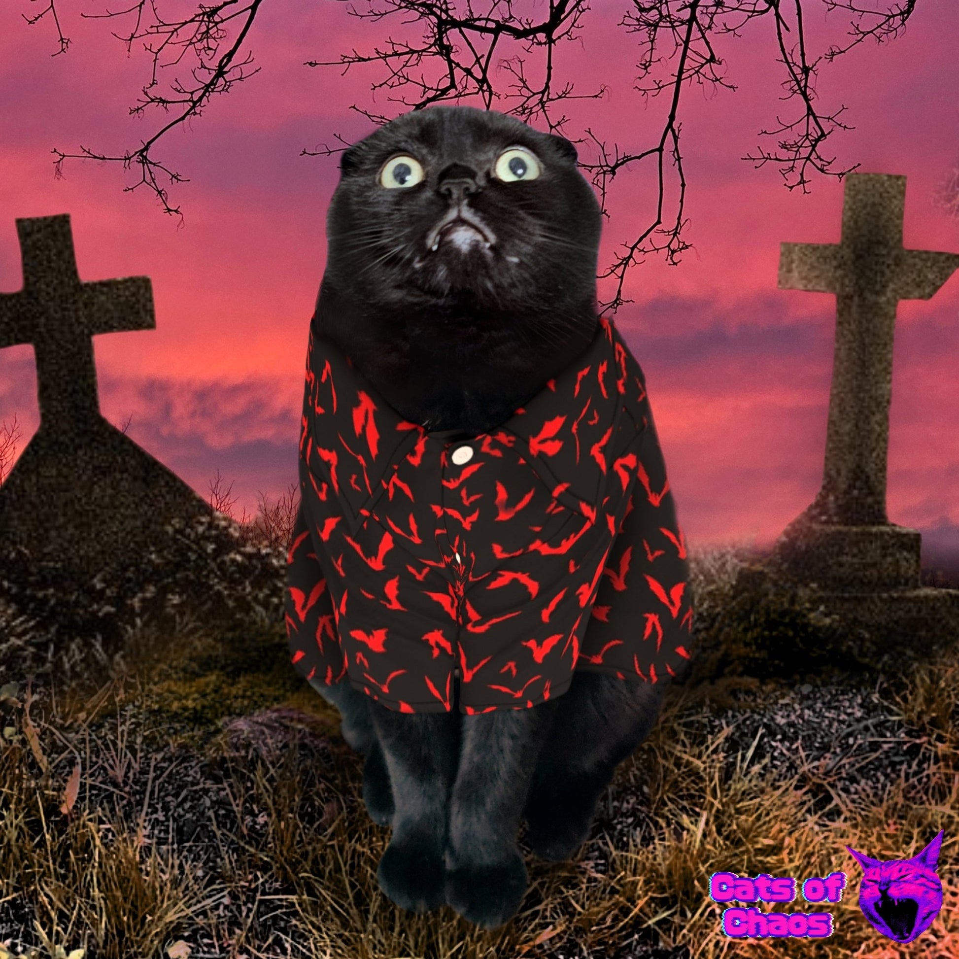 All - Over Print Bats Pet‘s Hawaiian Shirt - Cats of Chaos